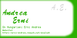 andrea erni business card